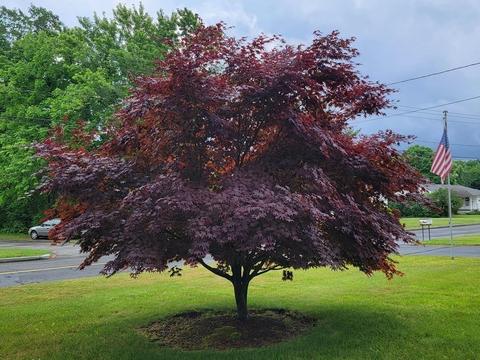 66 Eagle St, Ware, MA 01082 photo 24