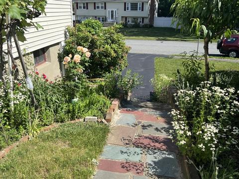 52 Crest Rd, Framingham, MA 01702 photo 35
