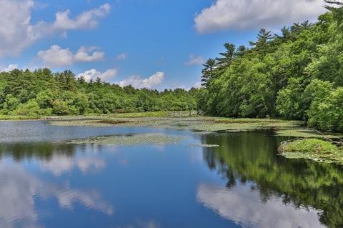 33 Brown St, Wareham, MA 02571 photo 38
