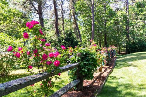 995 Bridge Rd, Eastham, MA 02642 photo 3