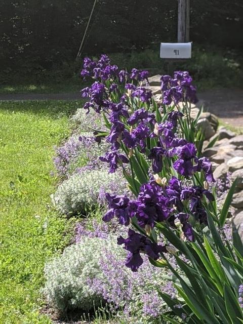91 Minebrook Rd, Webster, MA 01570 photo 32