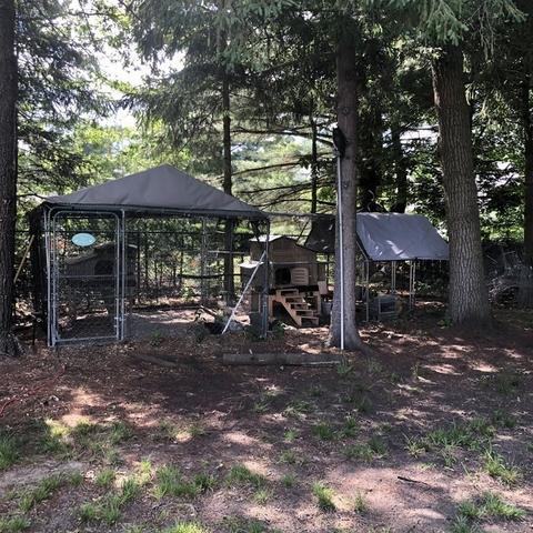4 Longedge Rd, Clinton, MA 01510 photo 20