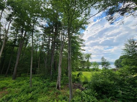 46 Torrey Rd, Sutton, MA 01590 photo 36