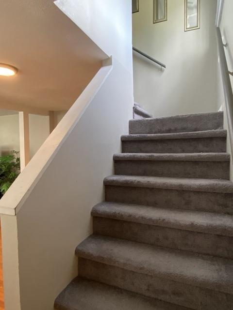 103 Phillips Ave, Springfield, MA 01119 photo 19