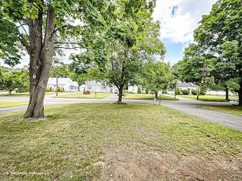 36 Lumae St, Springfield, MA 01119 photo 5