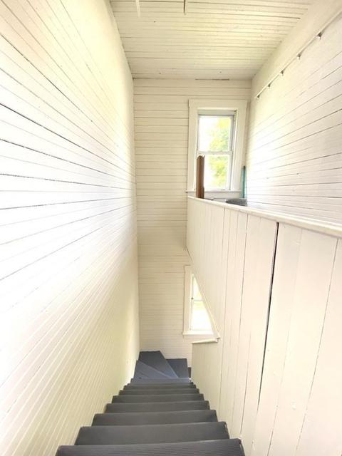 11 Leon, Worcester, MA 01604 photo 25