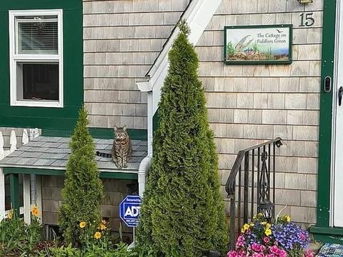 15 Howard St, Wareham, MA 02571 photo 6
