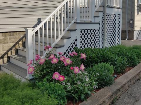 51 Pine St, Stoneham, MA 02180 photo 31