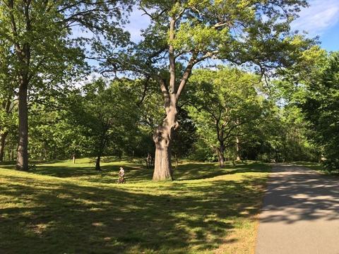 85 Upton Rd, Waltham, MA 02452 photo 29