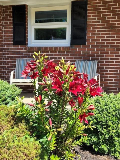 81 Bemis Rd, Holyoke, MA 01040 photo 6