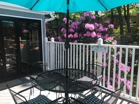 19 Darrell Dr, Randolph, MA 02368 photo 28