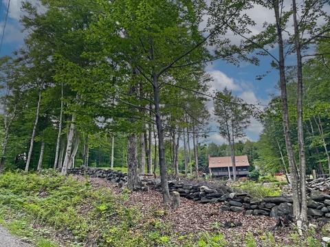 241 Thompson Rd, Colrain, MA 01340 photo 5