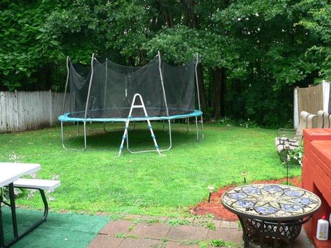 53 Dixfield St, Worcester, MA 01606 photo 20