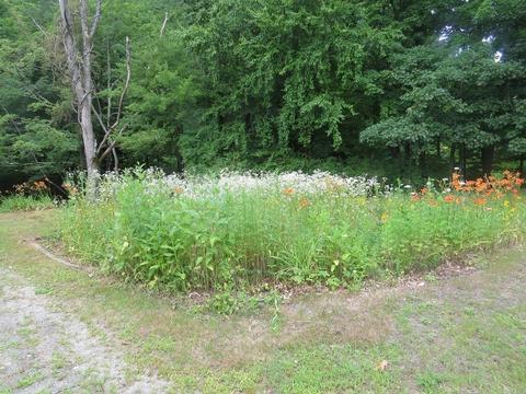 29 Williams St, Williamsburg, MA 01096 photo 20