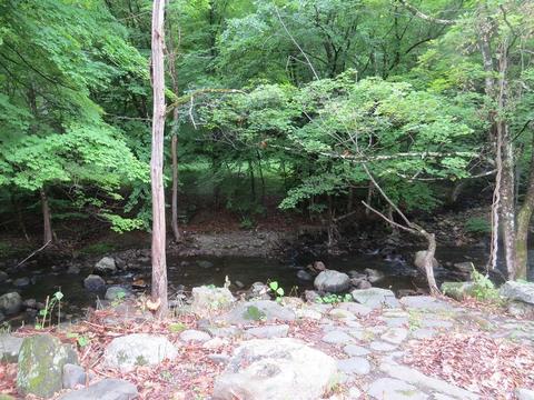 29 Williams St, Williamsburg, MA 01096 photo 17