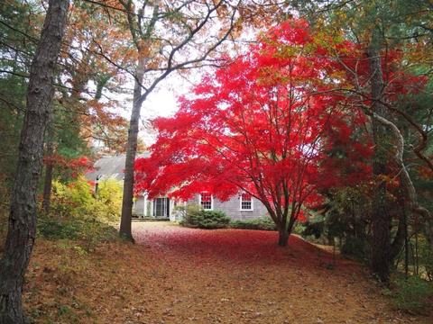 329 Cotuit Bay Dr, Barnstable, MA 02635 photo 2