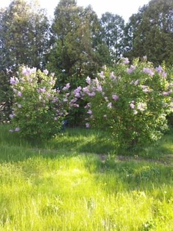 105 Maple St, Ware, MA 01082 photo 6