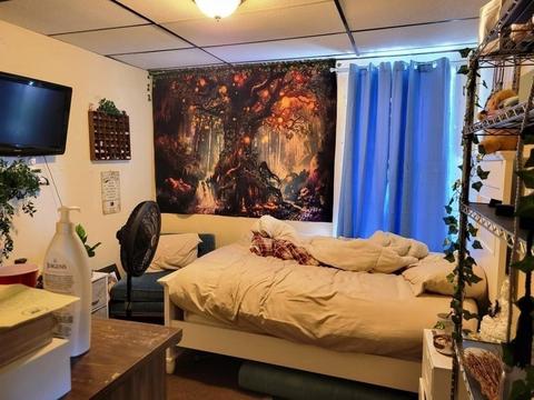 49 Harlem St, Worcester, MA 01610 photo 10