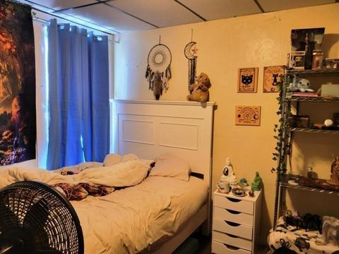 49 Harlem St, Worcester, MA 01610 photo 12