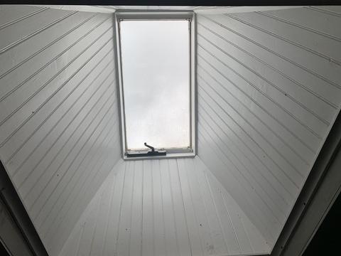 50 Cornflower St, Springfield, MA 01118 photo 18