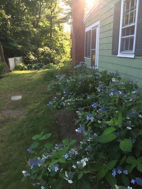 14 Forest Ln, Hingham, MA 02043 photo 36