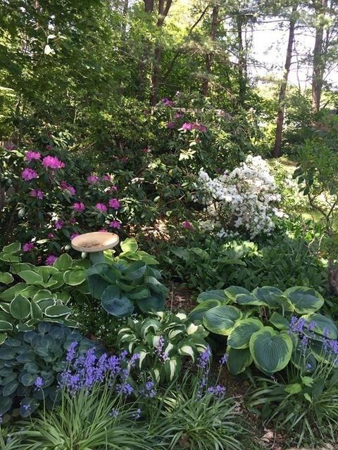 14 Forest Ln, Hingham, MA 02043 photo 34