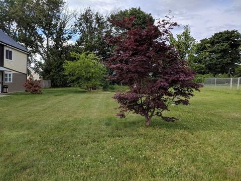 64 Riverview St, Fall River, MA 02724 photo 6