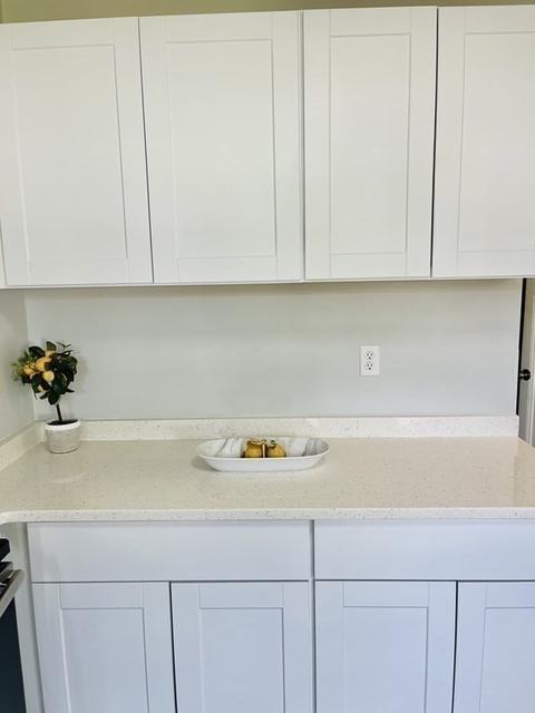 23 Harvey St, Springfield, MA 01119 photo 8