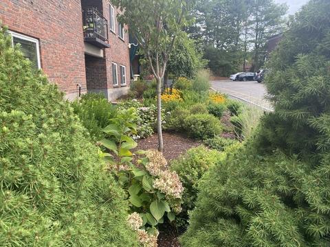 1202 Greendale Ave #107, Needham, MA 02492 photo 25