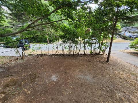 10 Clover Rd, Holbrook, MA 02343 photo 5