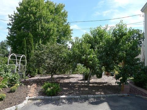 20 Baldwin St, Worcester, MA 01604 photo 36
