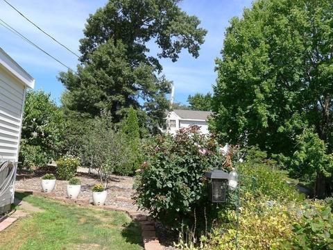 20 Baldwin St, Worcester, MA 01604 photo 33
