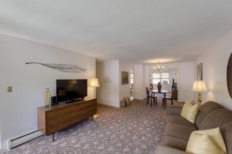 10 Pine Tree Ln, Worcester, MA 01609 photo 6