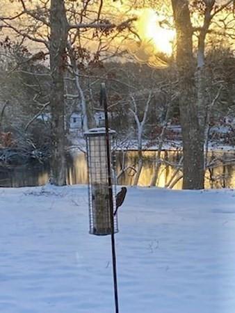 55 Bournedale Rd, Bourne, MA 02532 photo 39