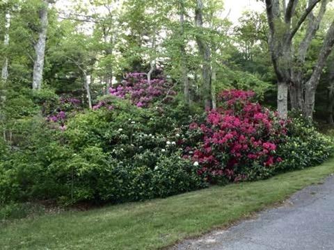 55 Bournedale Rd, Bourne, MA 02532 photo 40