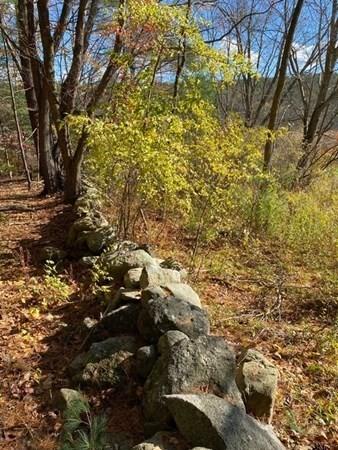 30 Cruft Ln, Harvard, MA 01451 photo 7