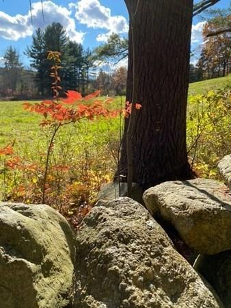 30 Cruft Ln, Harvard, MA 01451 photo 6