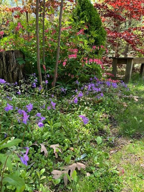 1 Blanchard Rd, Harvard, MA 01451 photo 35