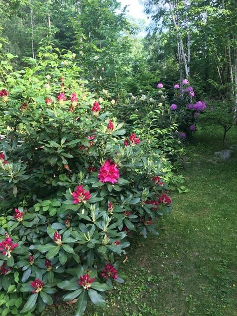 1 Blanchard Rd, Harvard, MA 01451 photo 33