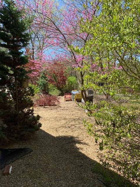 1 Blanchard Rd, Harvard, MA 01451 photo 37