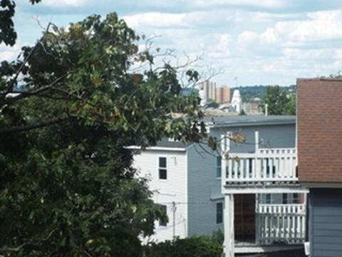61 Fox St, Worcester, MA 01604 photo 2