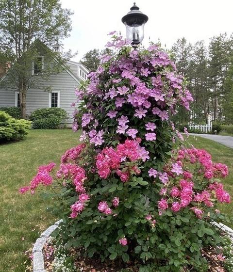 21 Pond Edge Trl, Wareham, MA 02571 photo 34