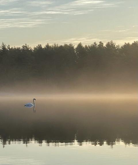 21 Pond Edge Trl, Wareham, MA 02571 photo 28