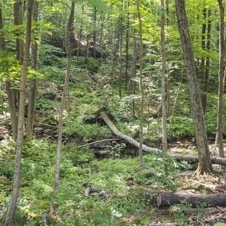 159 Templeton Rd, Athol, MA 01331 photo 32