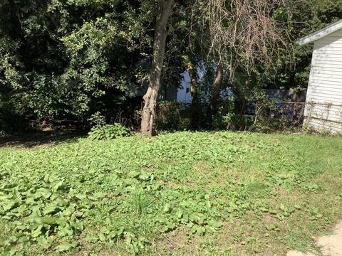 85 Hilton St, Chicopee, MA 01020 photo 34