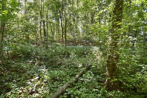 124 Gore Rd # -2, Webster, MA 01570 photo 9