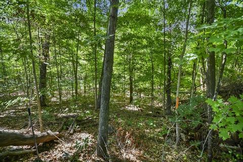 124 Gore Rd # -2, Webster, MA 01570 photo 6