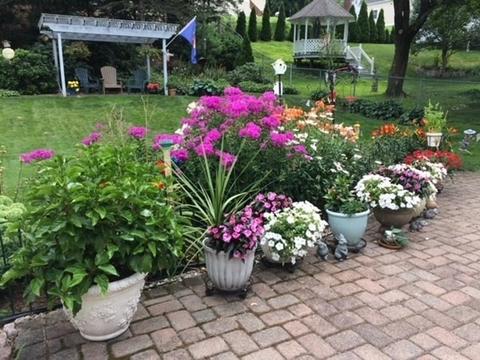 4 Redman Rd, Canton, MA 02021 photo 26
