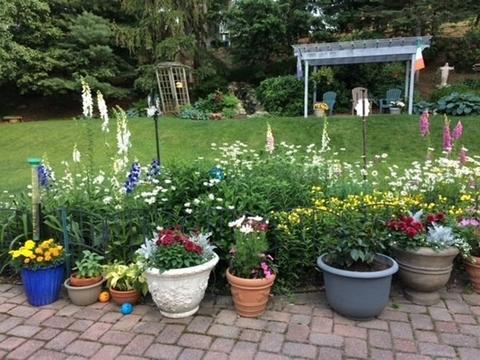 4 Redman Rd, Canton, MA 02021 photo 27