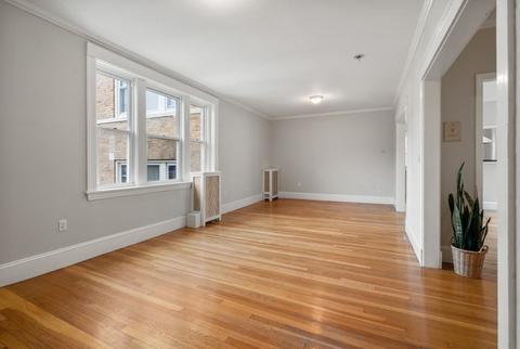 233 Freeman St #3, Brookline, MA 02446 photo 14